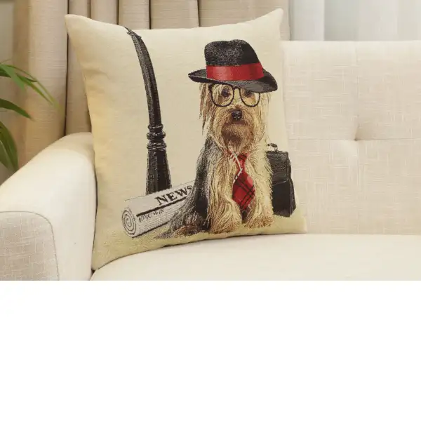 Executive Yorkie