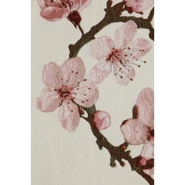 Cherry Blossom White