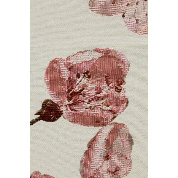 Cherry Blossom White
