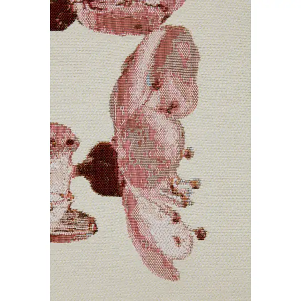 Cherry Blossom White