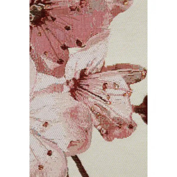 Cherry Blossom White