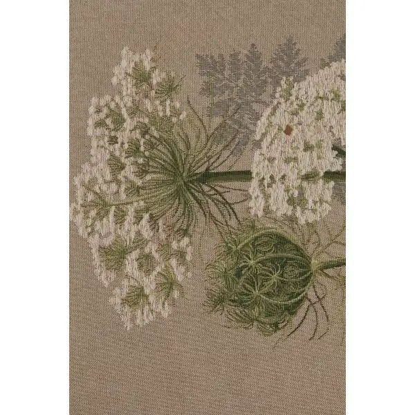 Umbels