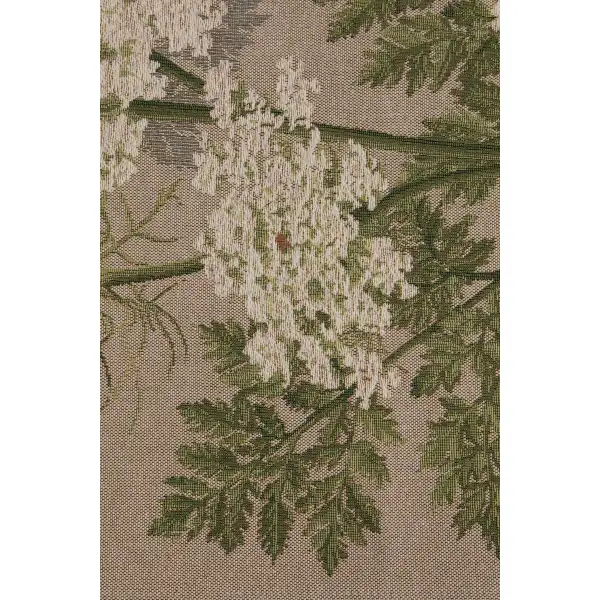 Umbels