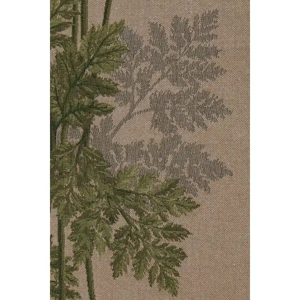 Umbels