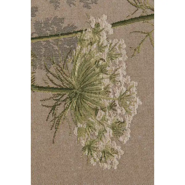 Umbels