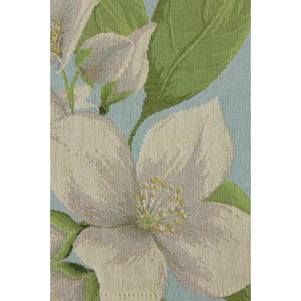 Jasmine