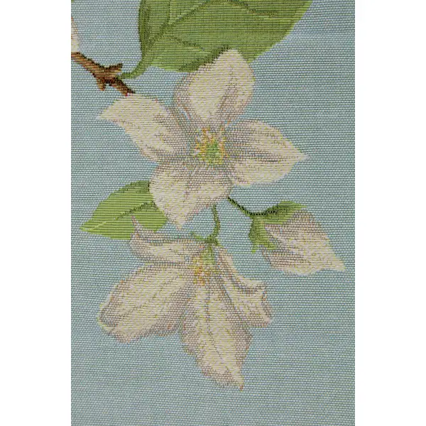 Jasmine