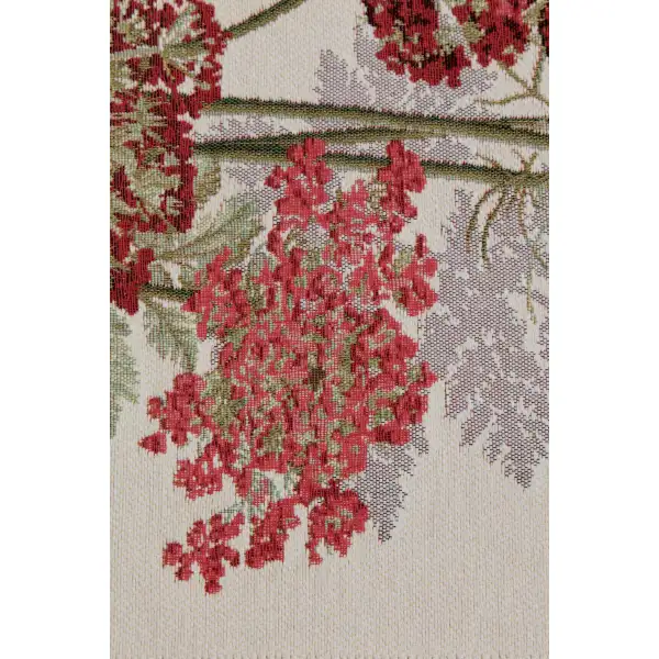 The Umbels