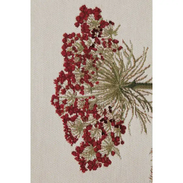 The Umbels