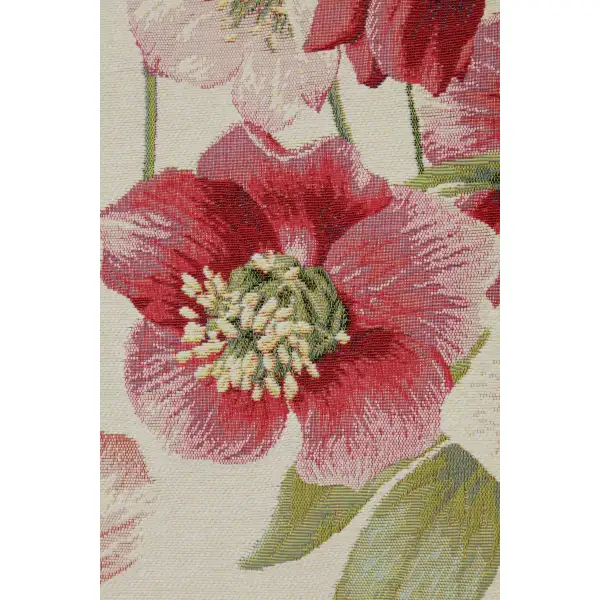 Hellebores White Runner
