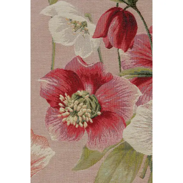 Hellebores Pink Runner