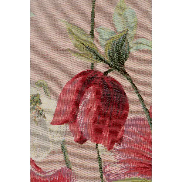 Hellebores Pink Runner