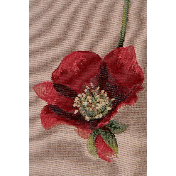Hellebores Pink Runner