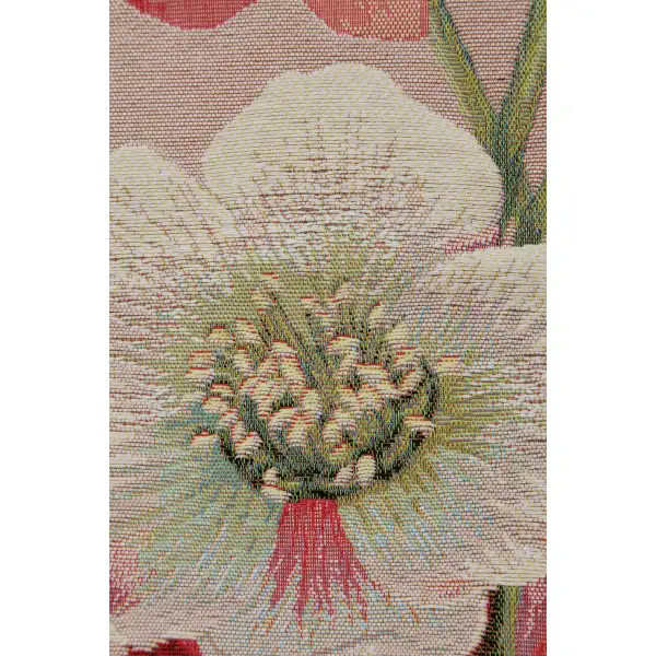 Hellebores Pink Runner