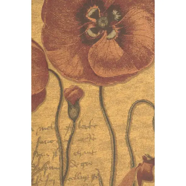 Flanders Poppies III