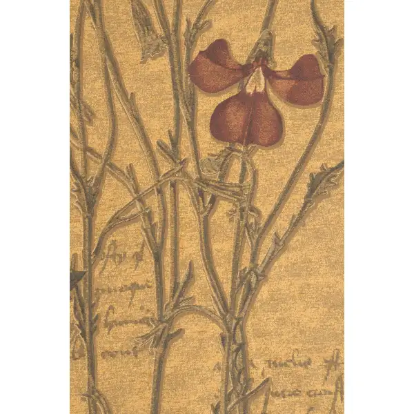 Flanders Poppies III