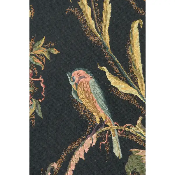 Birds Black