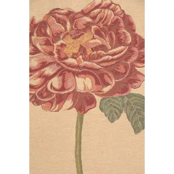 Redoute Rose