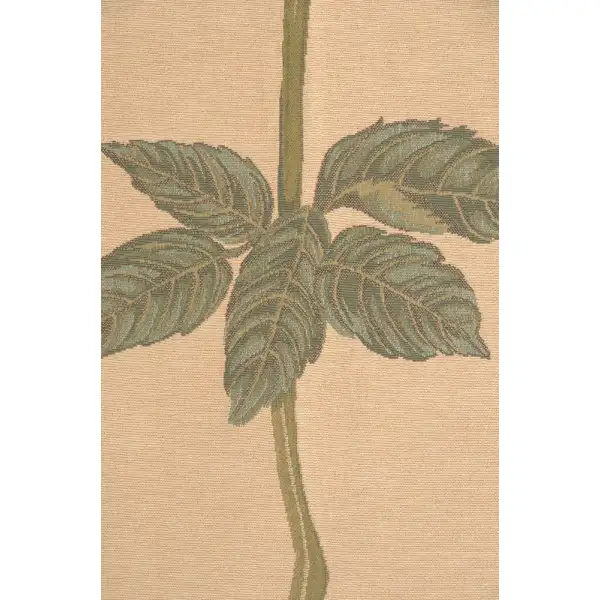Redoute Rose