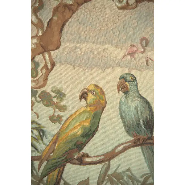 Oiseaux Exotique Exotic Birds