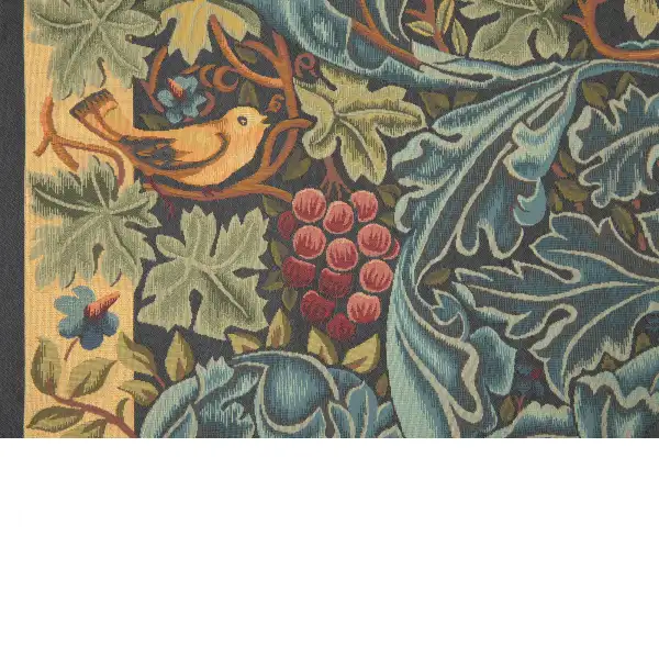 Vignes and Acanthes