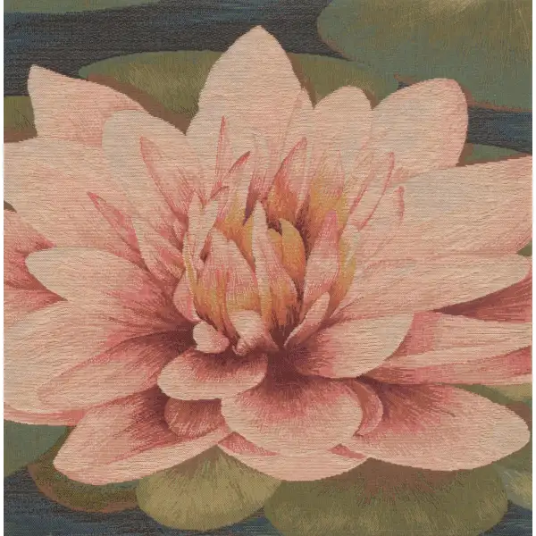 Water Lilly Flower