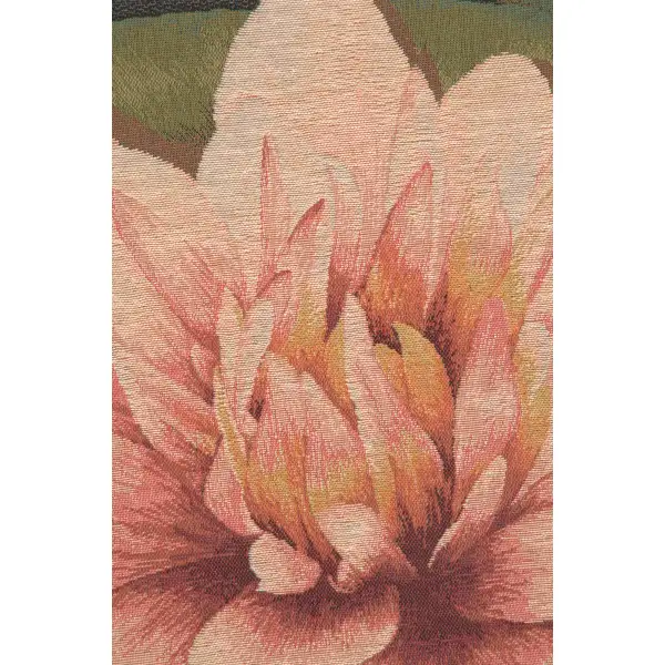 Water Lilly Flower