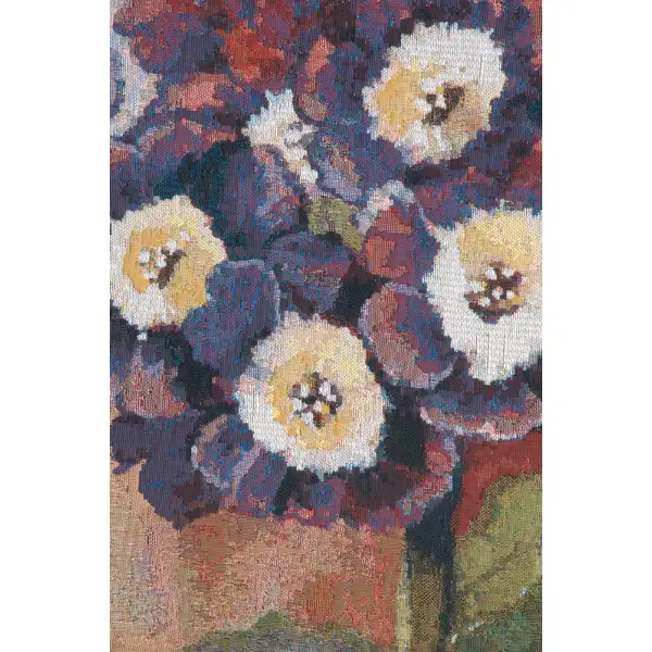 Primula