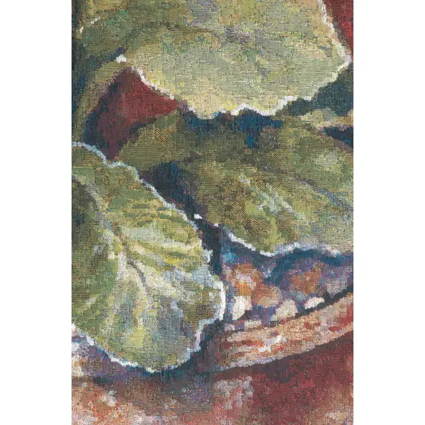 Primula