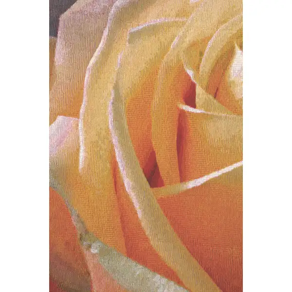Yellow Rose Square