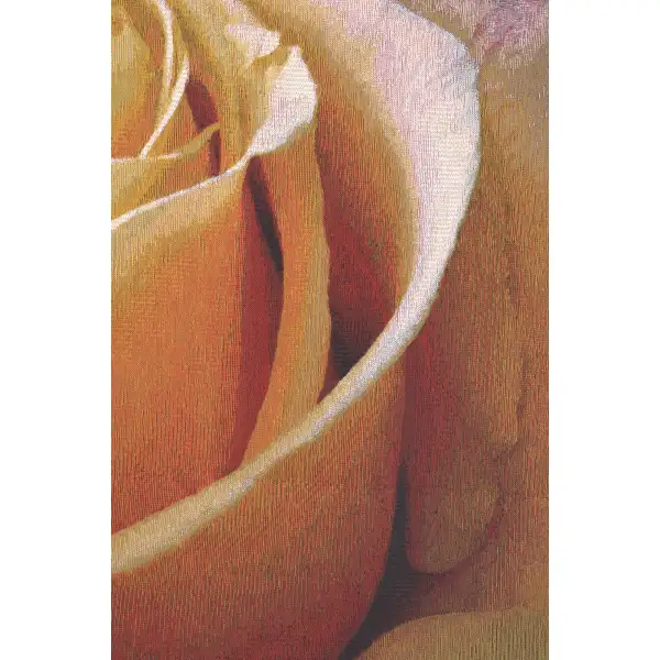 Yellow Rose Square