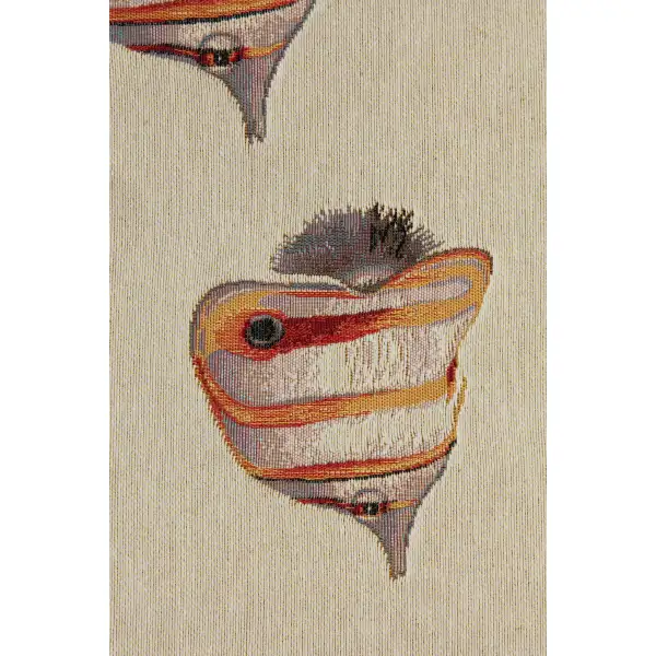 Exotic Fish White