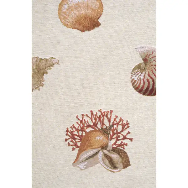 Shells Light