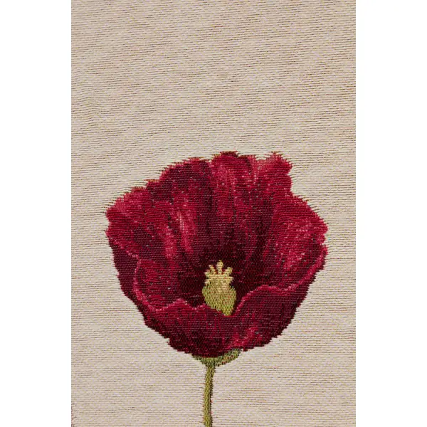 Poppy White