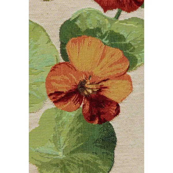 Nasturtium White