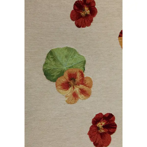 Nasturtium White