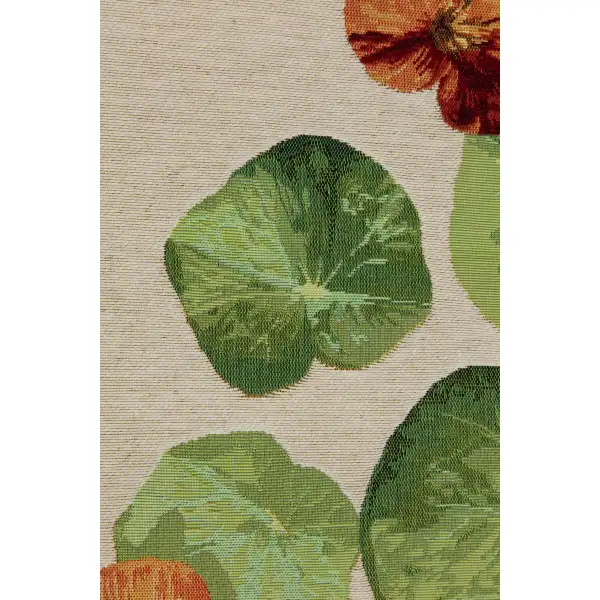 Nasturtium White