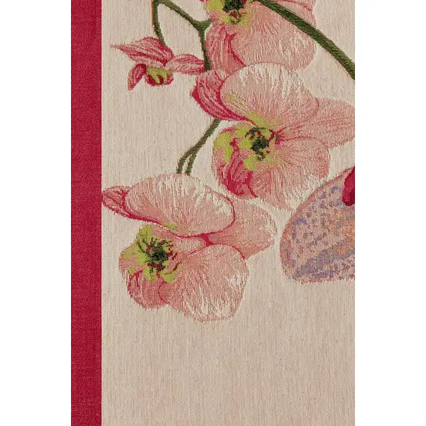 Pink Orchids White