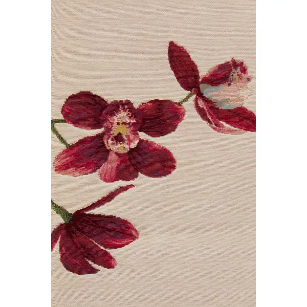 Pink Orchids White
