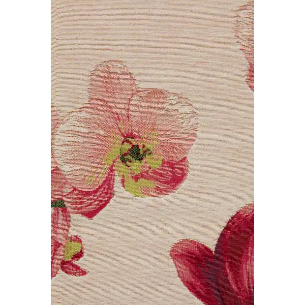 Pink Orchids White