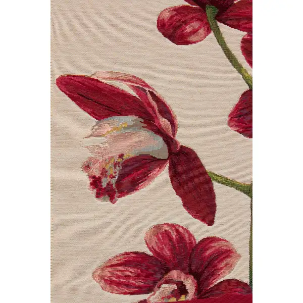 Pink Orchids White