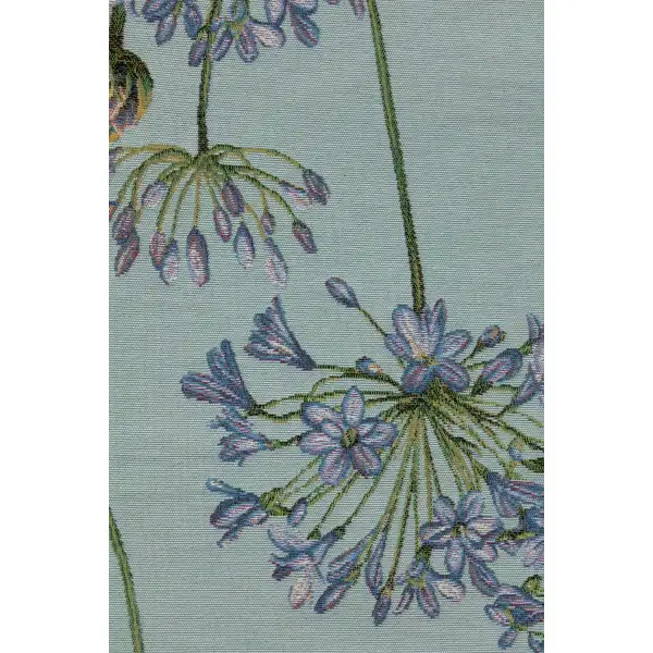 Agapanthus Blue