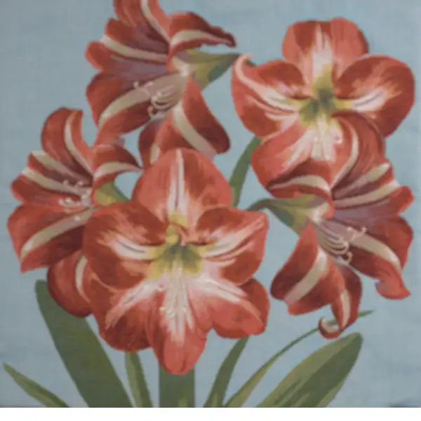 Amaryllis Flowers V Blue