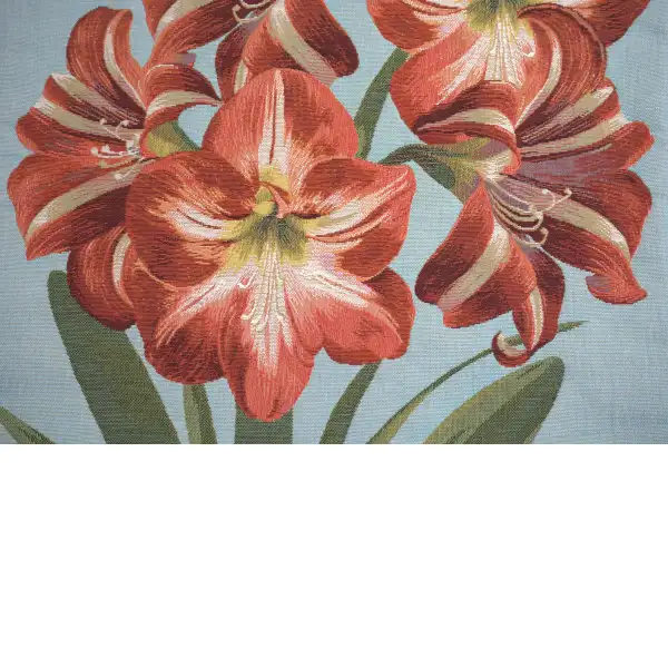 Amaryllis Flowers V Blue