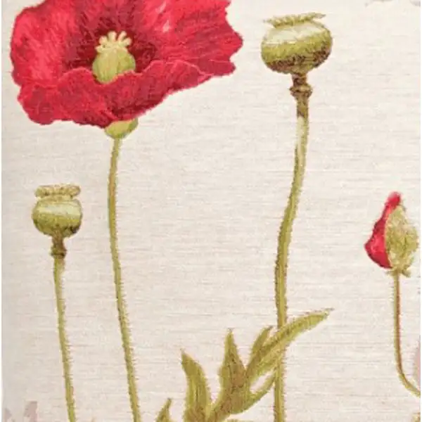 Poppies 1