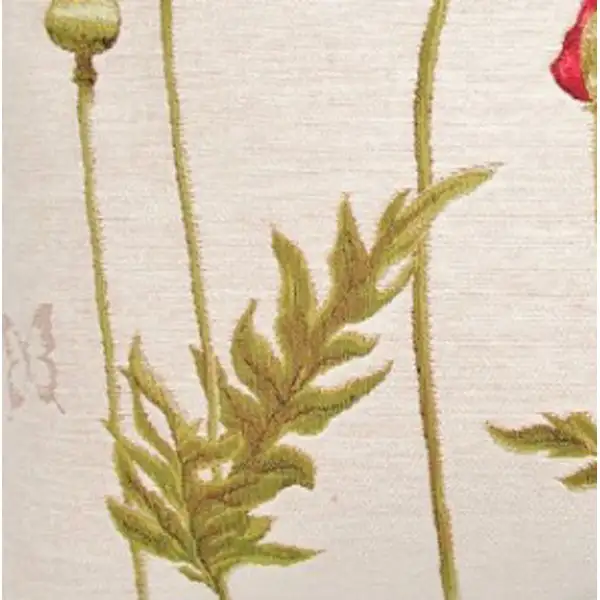 Poppies 1