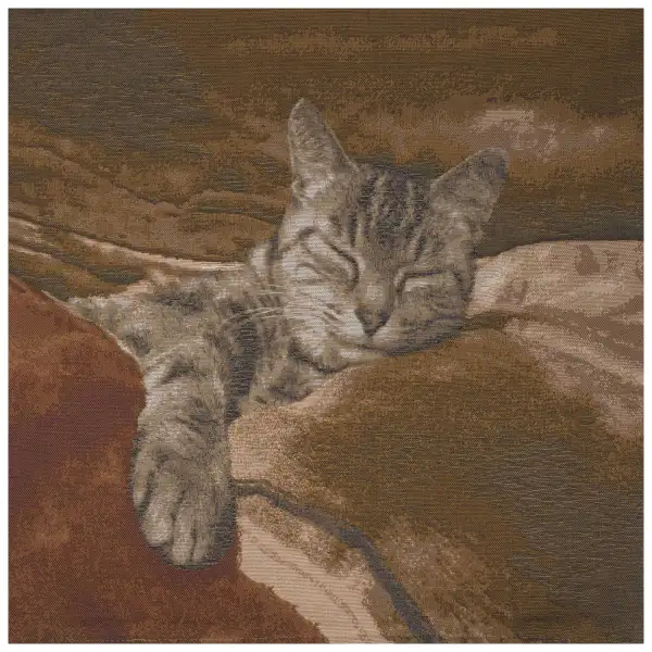 Sleeping Cat Brown I