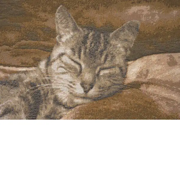 Sleeping Cat Brown I
