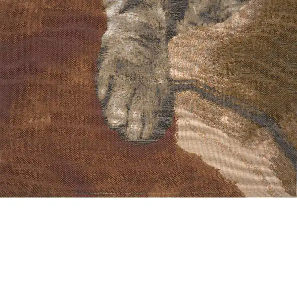 Sleeping Cat Brown I