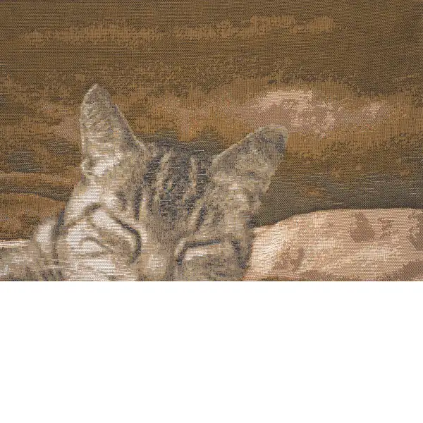 Sleeping Cat Brown I
